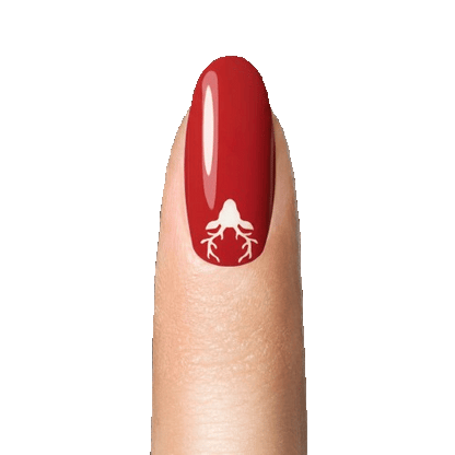 Natal